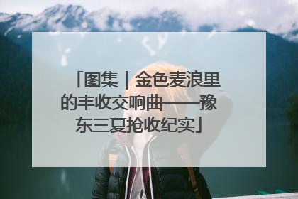 图集｜金色麦浪里的丰收交响曲——豫东三夏抢收纪实