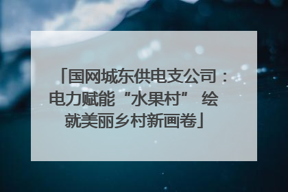 国网城东供电支公司：电力赋能“水果村” 绘就美丽乡村新画卷