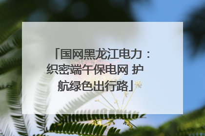 国网黑龙江电力：织密端午保电网 护航绿色出行路