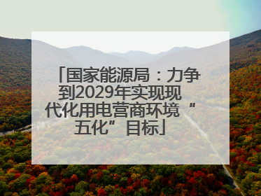 国家能源局：力争到2029年实现现代化用电营商环境“五化”目标