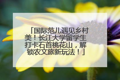 国际范儿遇见乡村美！长江大学留学生打卡石首桃花山，解锁农文旅新玩法！