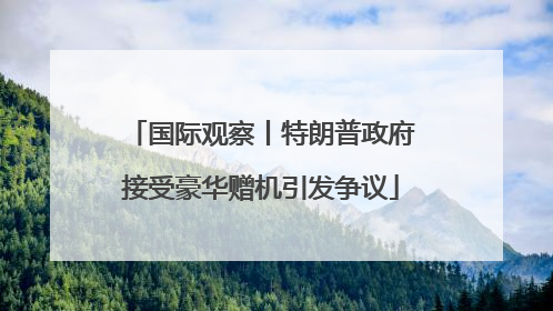 国际观察丨特朗普政府接受豪华赠机引发争议