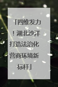 四维发力！湖北沙洋打造法治化营商环境新标杆