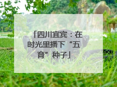 四川宜宾：在时光里播下“五育”种子