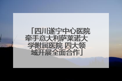 四川遂宁中心医院牵手意大利萨莱诺大学附属医院 四大领域开展全面合作