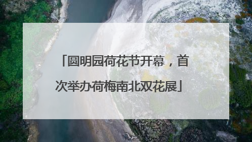 圆明园荷花节开幕，首次举办荷梅南北双花展