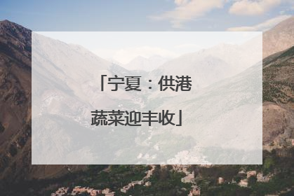 宁夏：供港蔬菜迎丰收