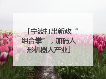 宁波打出新政“组合拳”，加码人形机器人产业