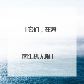 它们，在海南生机无限