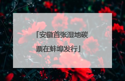 安徽首张湿地碳票在蚌埠发行