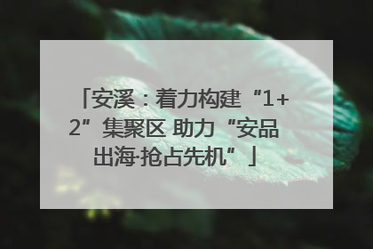 安溪：着力构建“1+2”集聚区 助力“安品出海·抢占先机”