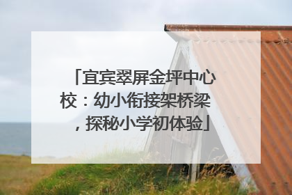 宜宾翠屏金坪中心校：幼小衔接架桥梁，探秘小学初体验