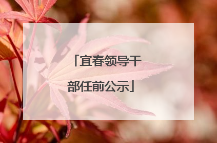 宜春领导干部任前公示
