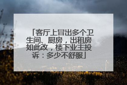 客厅上冒出多个卫生间、厨房，出租房如此改，楼下业主投诉：多少不舒服