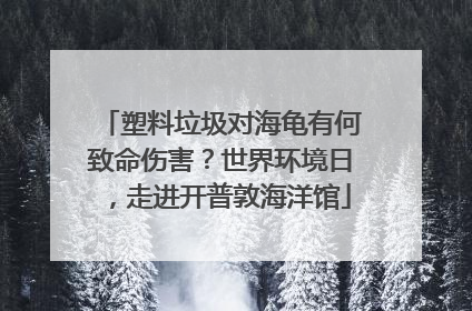 塑料垃圾对海龟有何致命伤害？世界环境日，走进开普敦海洋馆