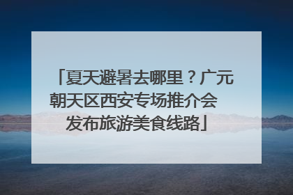 夏天避暑去哪里？广元朝天区西安专场推介会 发布旅游美食线路