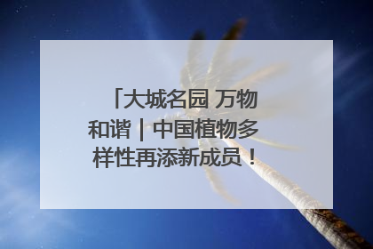 大城名园 万物和谐｜中国植物多样性再添新成员！它只在西藏墨脱