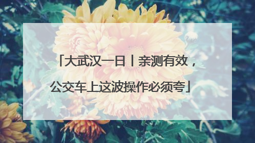 大武汉一日丨亲测有效，公交车上这波操作必须夸