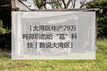 大湾区年产29万吨背后的给“荔”科技｜数说大湾区