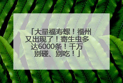 大量福寿螺！福州又出现了！寄生虫多达6000条！千万别碰、别吃！