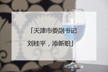 天津市委副书记刘桂平，添新职