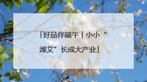 好品伴端午丨小小“潍艾”长成大产业