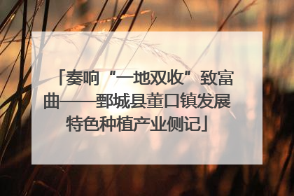 奏响“一地双收”致富曲——鄄城县董口镇发展特色种植产业侧记