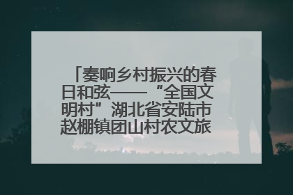 奏响乡村振兴的春日和弦——“全国文明村”湖北省安陆市赵棚镇团山村农文旅融合发展见闻