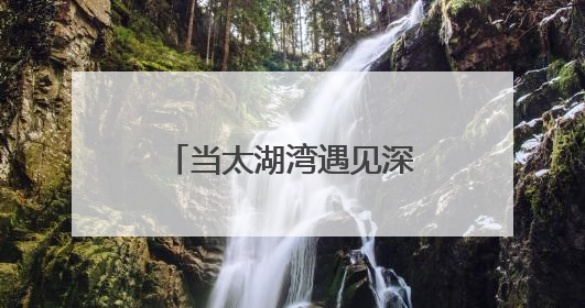 当太湖湾遇见深圳湾，这场产业对接干货满满……