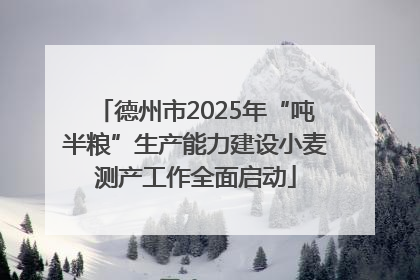 德州市2025年“吨半粮”生产能力建设小麦测产工作全面启动