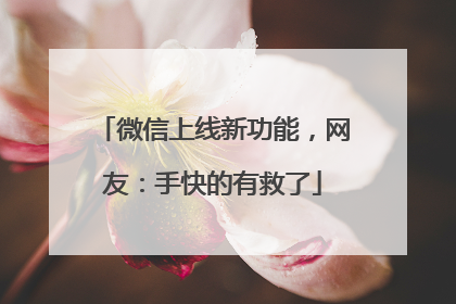 微信上线新功能，网友：手快的有救了