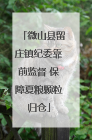 微山县留庄镇纪委靠前监督 保障夏粮颗粒归仓