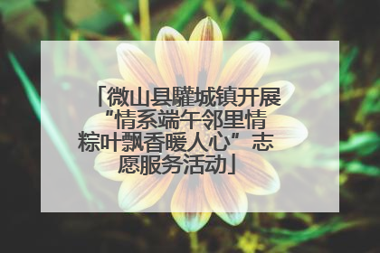 微山县驩城镇开展“情系端午邻里情 粽叶飘香暖人心”志愿服务活动