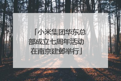 小米集团华东总部成立七周年活动在南京建邺举行