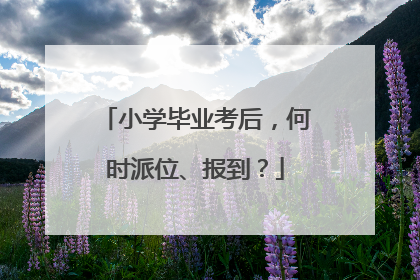 小学毕业考后，何时派位、报到？
