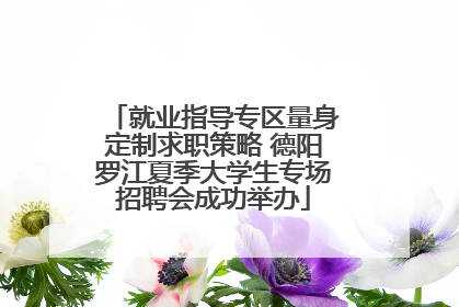 就业指导专区量身定制求职策略 德阳罗江夏季大学生专场招聘会成功举办