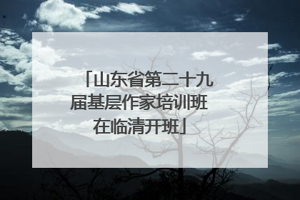 山东省第二十九届基层作家培训班在临清开班