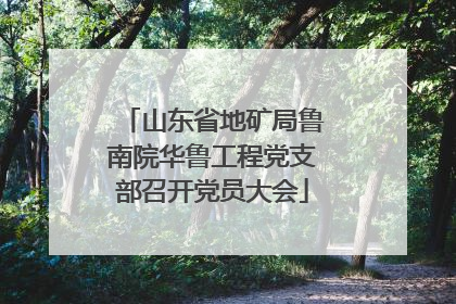山东省地矿局鲁南院华鲁工程党支部召开党员大会
