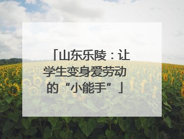 山东乐陵：让学生变身爱劳动的“小能手”