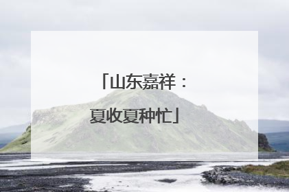 山东嘉祥：夏收夏种忙