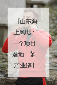山东海上风电：一个项目落地一条产业链