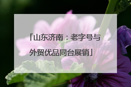 山东济南：老字号与外贸优品同台展销
