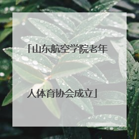 山东航空学院老年人体育协会成立