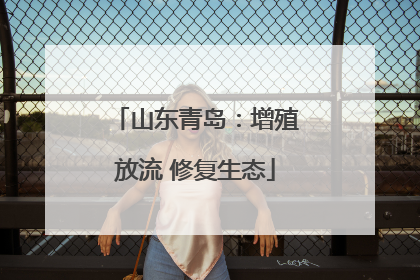 山东青岛：增殖放流 修复生态
