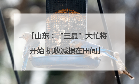 山东：“三夏”大忙将开始 机收减损在田间