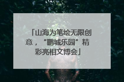山海为笔绘无限创意，“鹏城乐园”精彩亮相文博会