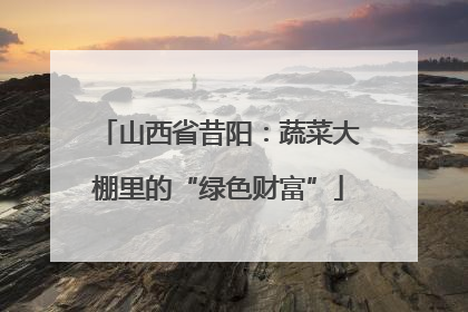 山西省昔阳：蔬菜大棚里的“绿色财富”