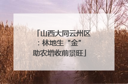 山西大同云州区：林地生“金” 助农增收前景旺