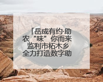 岳成有约·助农“味”你而来 监利市柘木乡全力打造数字助农特色品牌