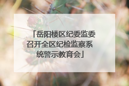 岳阳楼区纪委监委召开全区纪检监察系统警示教育会